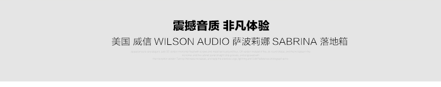 威信萨波莉娜,Wilson Audio sabrina,威信落地箱