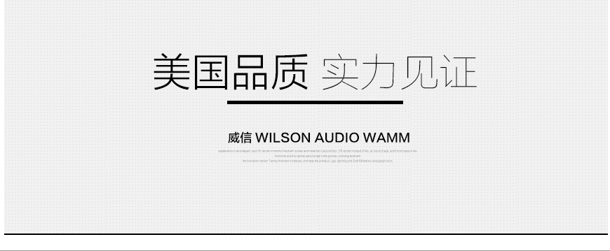 威信WAMM,Wilson Audio WAM,威信顶级落地箱