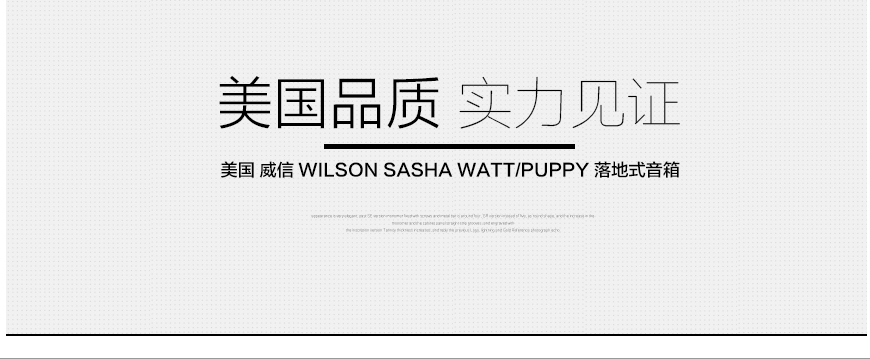 威信莎莎二代,Wilson Audio Sasha Watt Puppy,威信落地箱