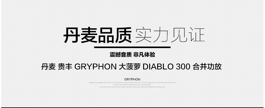 贵丰大菠萝,Gryphon Diablo 300,贵丰合并功放