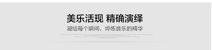 美国威信 Alexx,Wilson Audio Alexx,美国威信Wilson Audio 落地箱