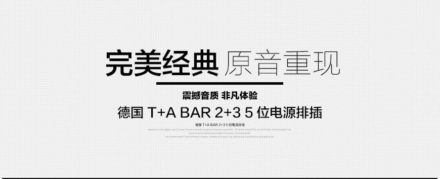 德国T+A BAR 2+3电源排插,德国T+A 电源滤波器,音响电源插座