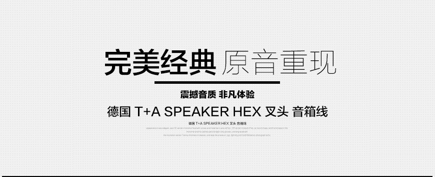 德国 T+A SPEAKER HEX 叉头音箱线,德国 T+A 喇叭线