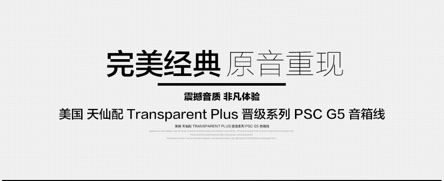 Transparent Plus PSC G5,美国天仙配Transparent 晋级系列 PSC G5 音箱线