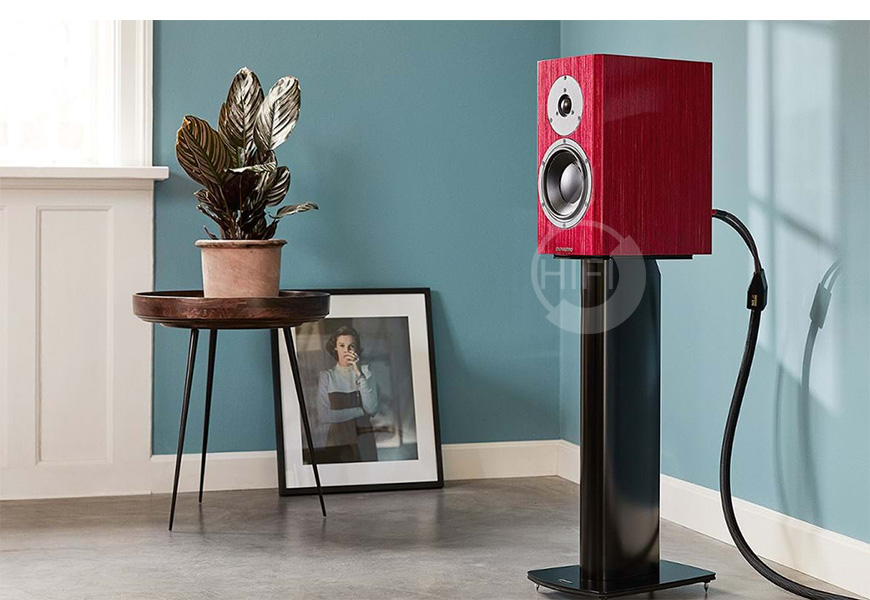 丹拿 Special Forty 40周年纪念版书架箱,Dynaudio Special Forty,丹拿Dynaudio HIFI音箱