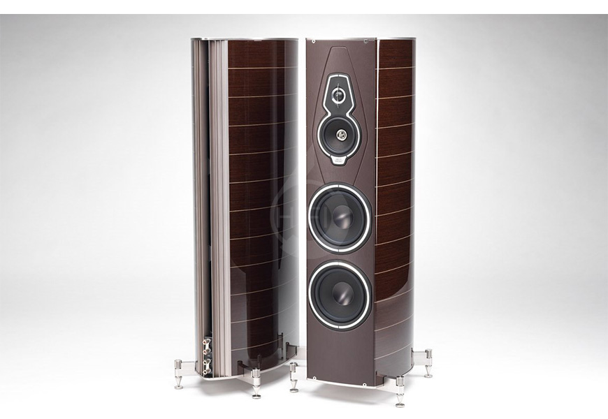 世霸势霸传承系列大名琴,Sonus Faber Amati Tradition,势霸Sonus Faber 落地箱