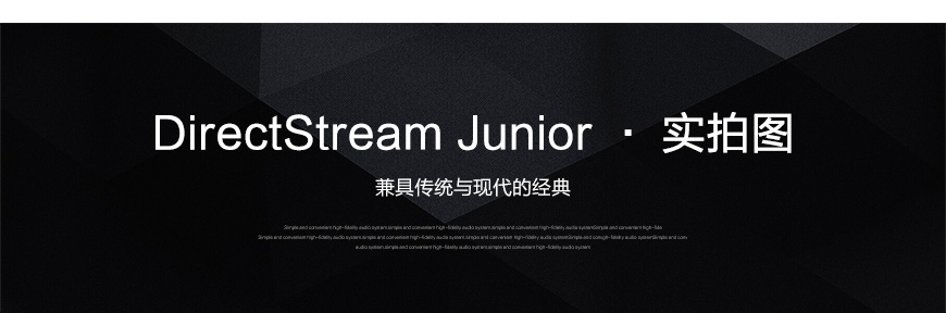美诗PS DirectStream Junior,美诗PS解码器,hifi解码