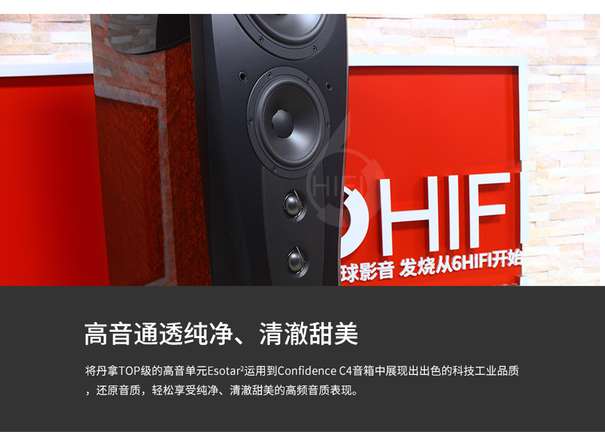 Dynaudio Confidence C4 Platinum,丹拿信心C4铂金版落地箱,丹拿Dynaudio 音箱