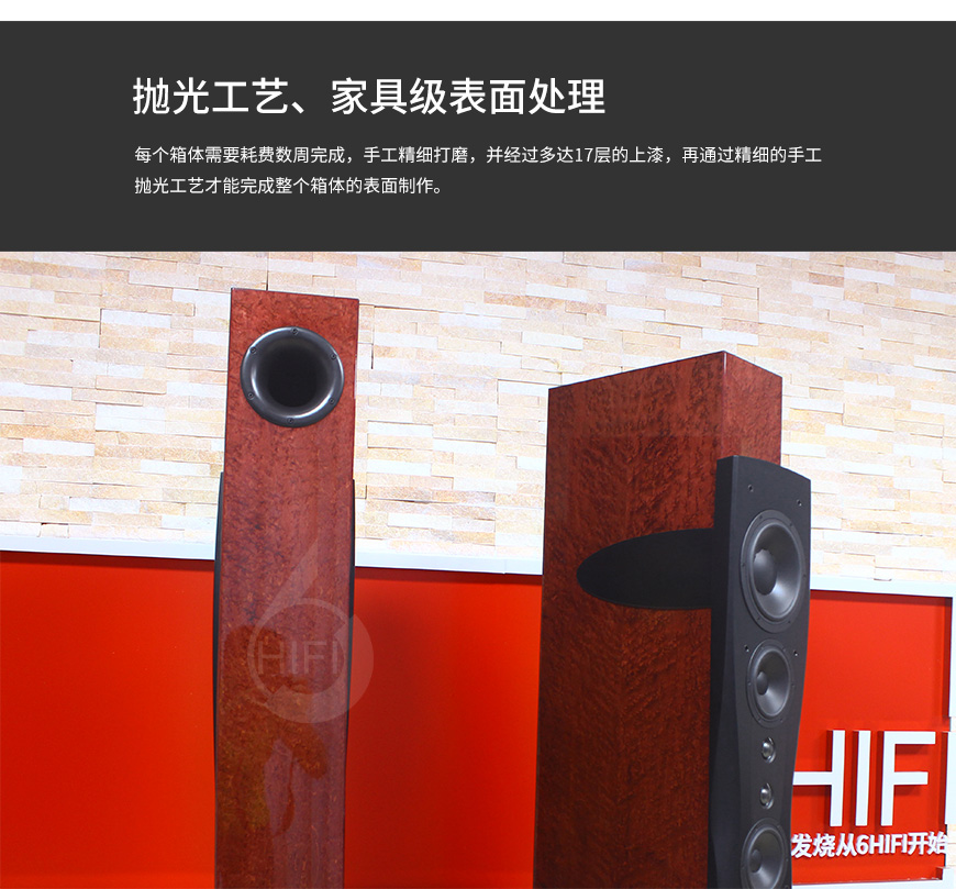 Dynaudio Confidence C4 Platinum,丹拿信心C4铂金版落地箱,丹拿Dynaudio 音箱