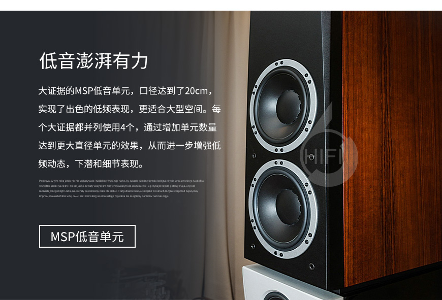 丹拿Evidence Master,Dynaudio Evidence Master,丹拿音箱