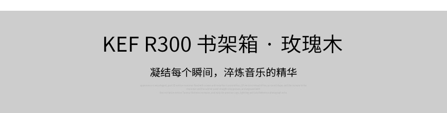 KEF R300书架箱,KEF音箱