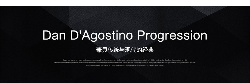 大丹Progression,Dan D'Agostino Progression Stereo,大丹功放