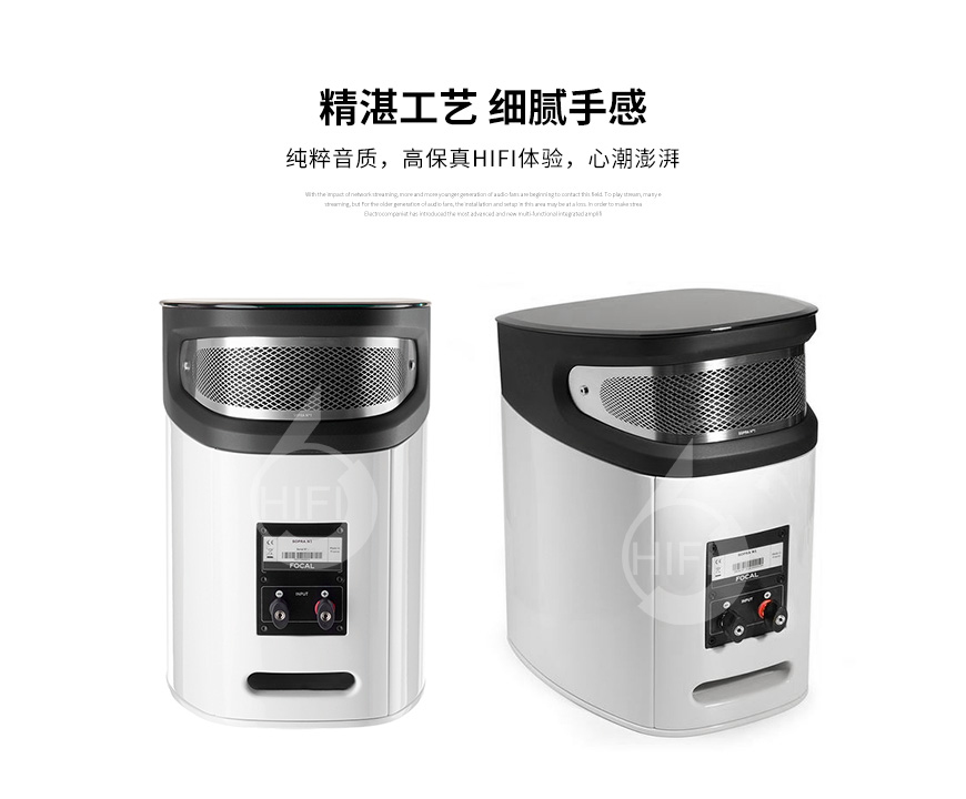 劲浪N1,Focal Sopra N1,劲浪音箱