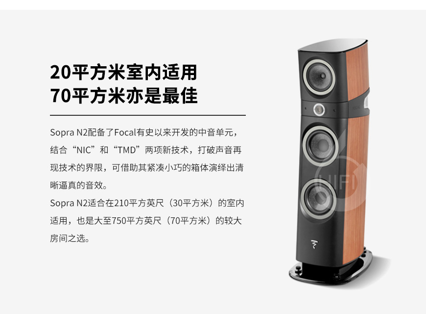 劲浪N2,Focal Sopra N2,劲浪音箱