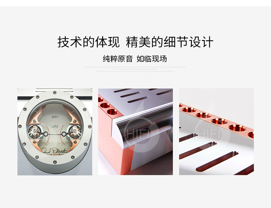 大丹Momentum S250,Dan D'Agostino Momentum S250,大丹后级