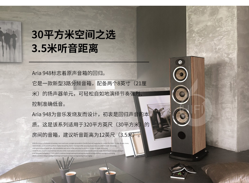 劲浪Aria 948,Focal Aria 948,劲浪音箱