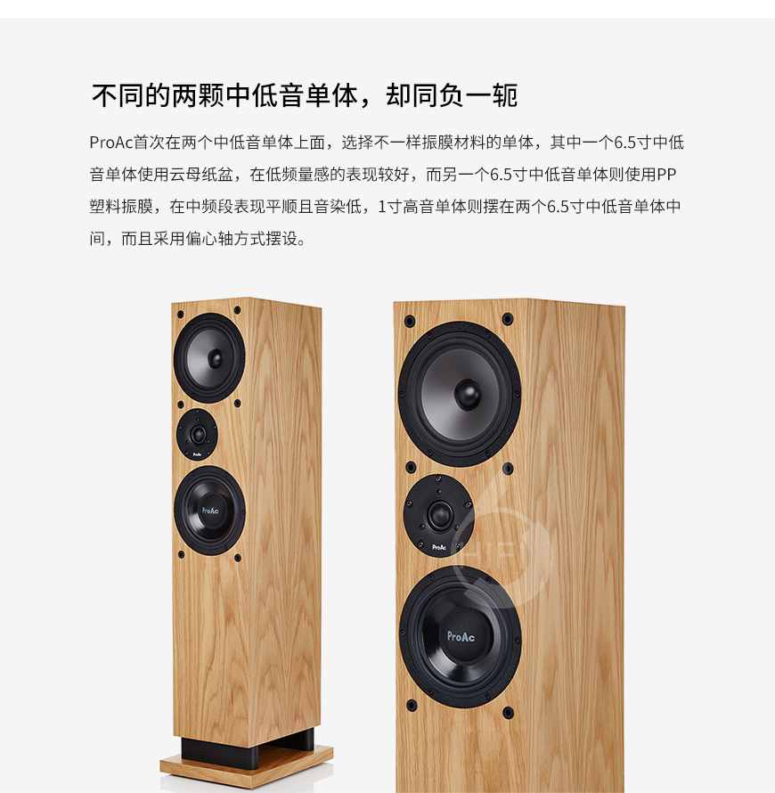 贵族Response DT8,ProAc Response DT8,贵族音箱