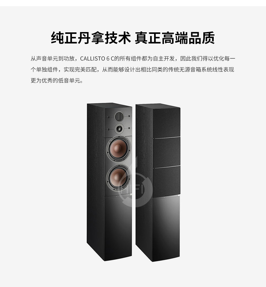 达尼CALLISTO 6 C,DALI CALLISTO 6 C,达尼音箱