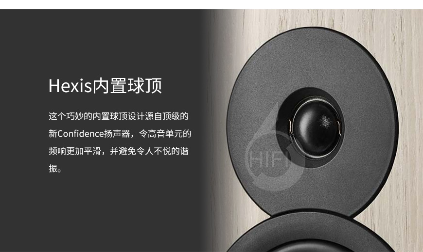 丹拿 Evoke 10,Dynaudio Evoke 10,丹拿音箱