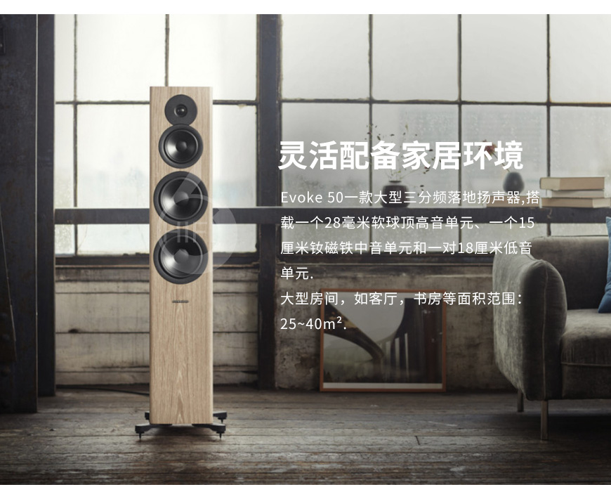 丹拿 Evoke 50,Dynaudio Evoke 50,丹拿音箱