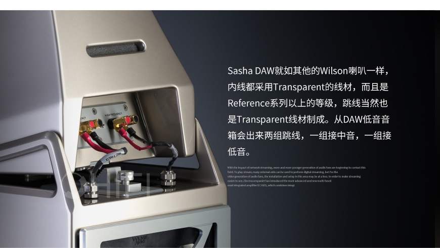 威信 Sasha DAW,Wilson Audio Sasha DAW,威信音箱