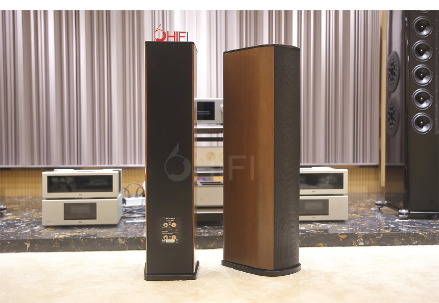 T+A TCD 310S 落地箱,T+A TCD 310S,TCD 310S