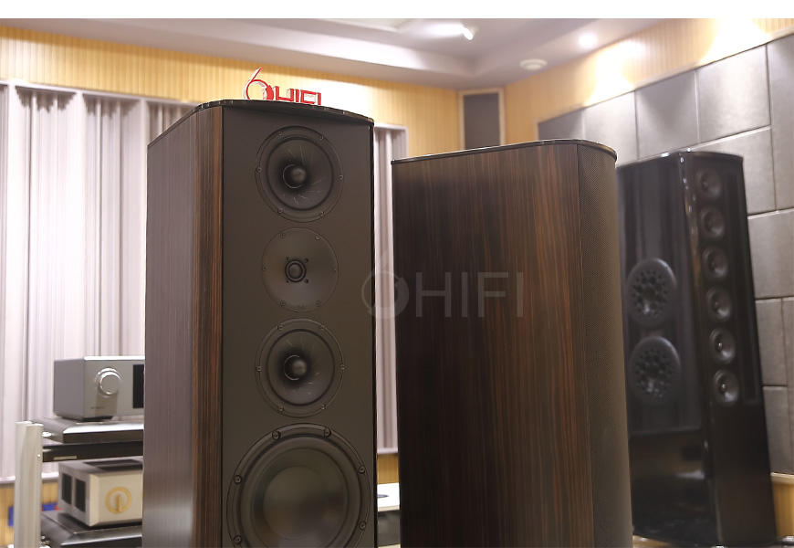 T+A TCD 110 S 落地箱,T+A TCD 110 S,TCD 110 S
