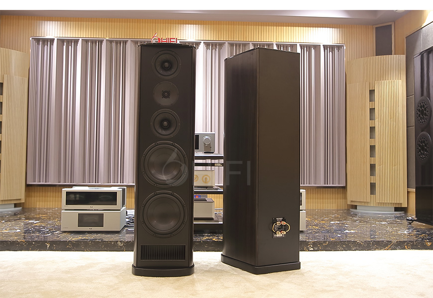 T+A TCD 110 S 落地箱,T+A TCD 110 S,TCD 110 S