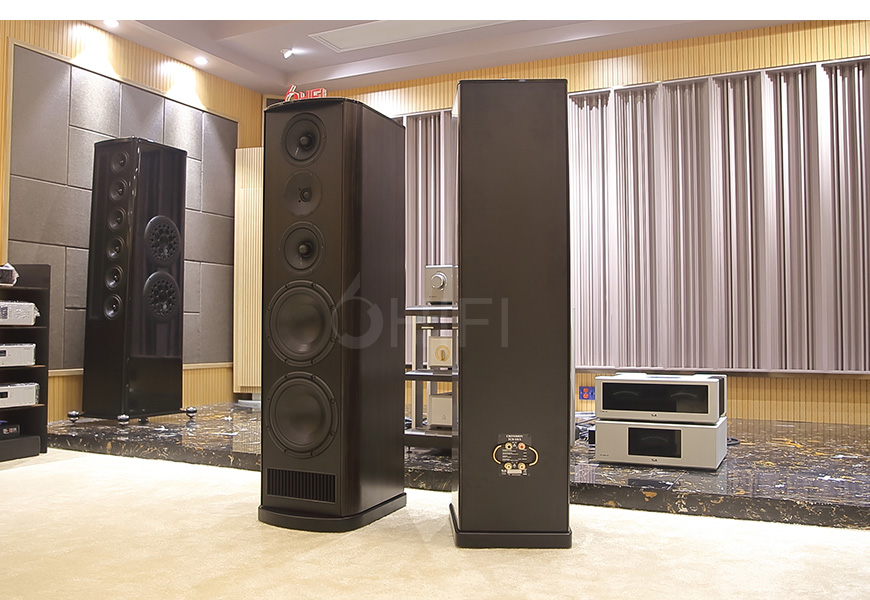 T+A TCD 110 S 落地箱,T+A TCD 110 S,TCD 110 S