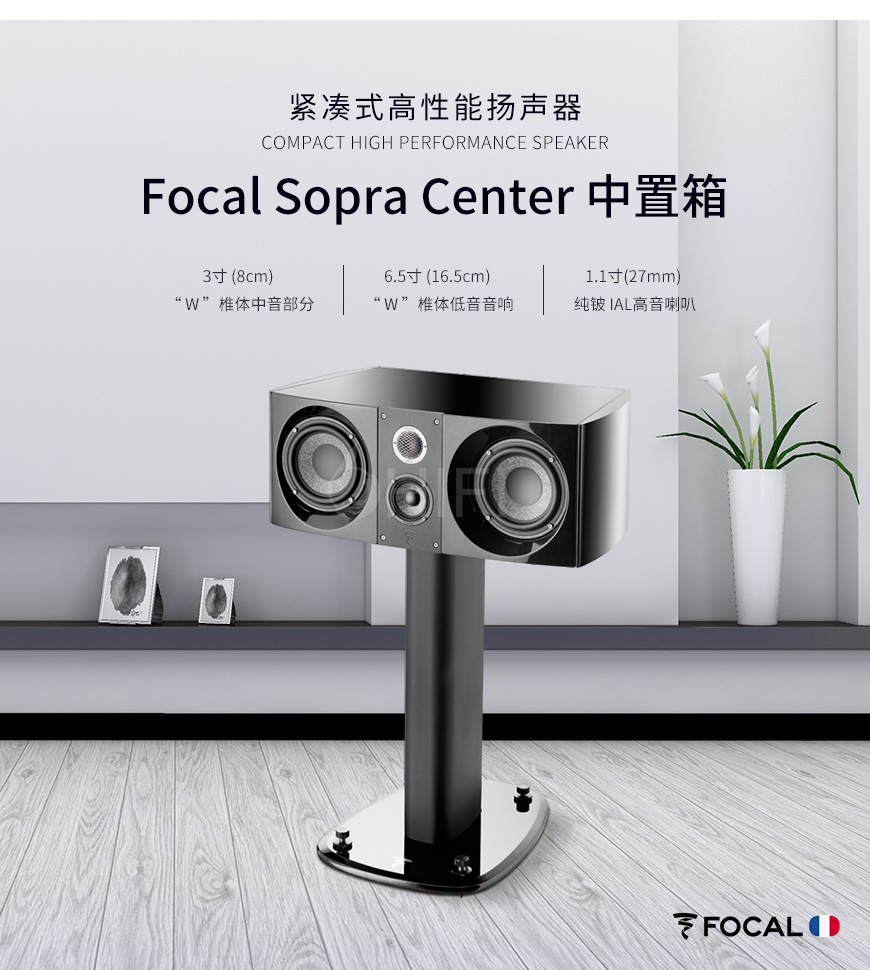 法国 劲浪 Focal Sopra Center 中置箱,劲浪 Sopra Center 中置箱,法国 劲浪 中置箱