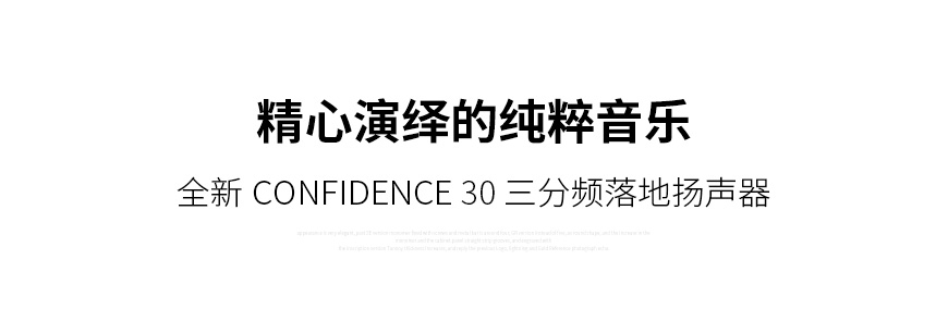 丹麦 丹拿 Dynaudio 信心系列 Confidence 30 落地箱,丹拿 信心系列 落地箱,丹麦 Dynaudio Confidence 30,丹麦 丹拿