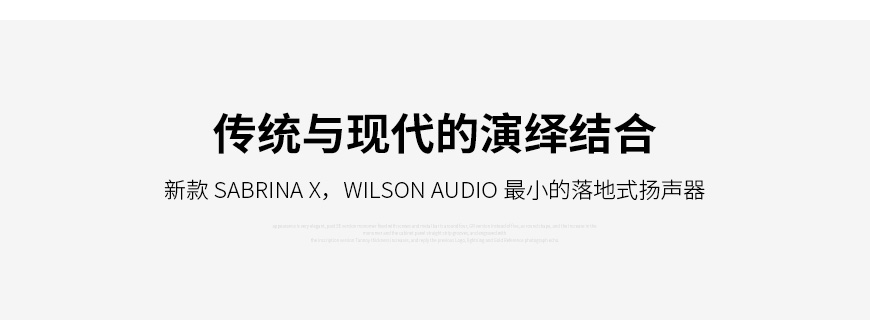 美国 威信 Wilson Audio Sabrina X 落地箱,威信 Sabrina X 落地箱,美国 Wilson Audio Sabrina X,美国 威信