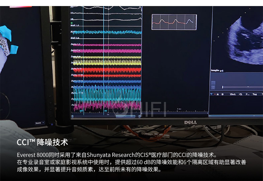 美国 蛇皇 Shunyata Research EVEREST 电源处理器,蛇皇 EVEREST 电源处理器,美国 Shunyata Research EVEREST,美国 蛇皇