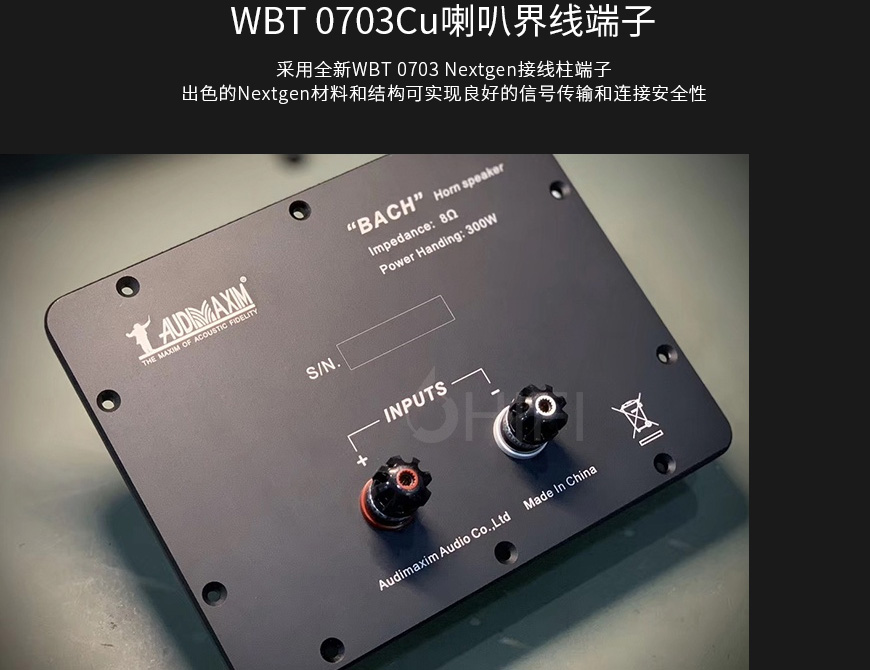 中国 音乐大师 AUDIMAXIM BACH巴赫 号角音箱,音乐大师 BACH巴赫 号角音箱,中国 AUDIMAXIM BACH巴赫,中国 音乐大师