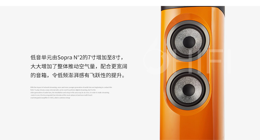 法国 劲浪 Focal Sopra N3 落地箱,劲浪 Sopra N3 落地箱,法国 Focal Sopra N3,法国 劲浪