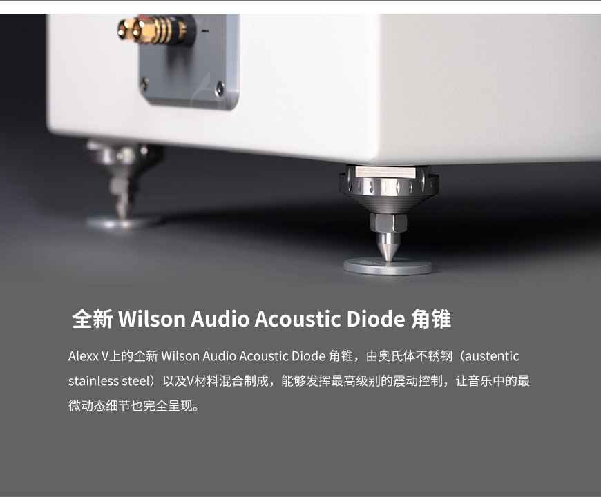 美国 威信 Wilson Audio Alexx V 落地箱,威信 Alexx V 落地箱,美国 Wilson Audio Alexx V,美国 威信