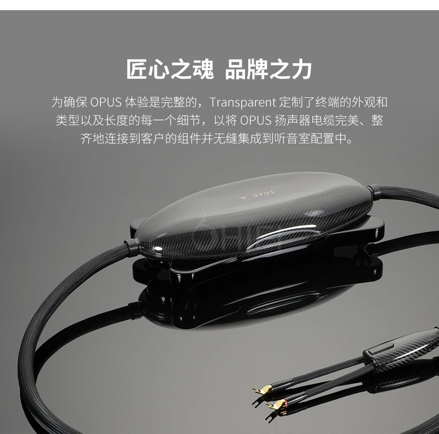 美国 Transparent 天仙配 OPUS Speaker Cable OSC G6 音箱线