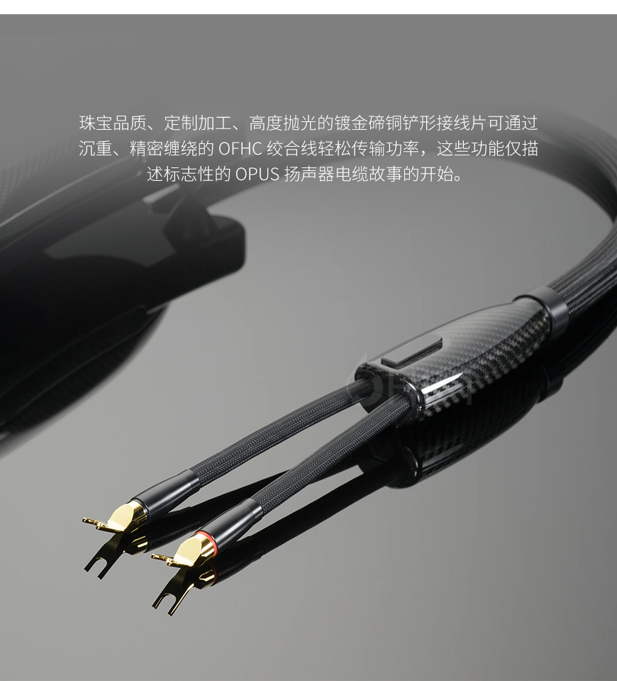 美国 Transparent 天仙配 OPUS Speaker Cable OSC G6 音箱线