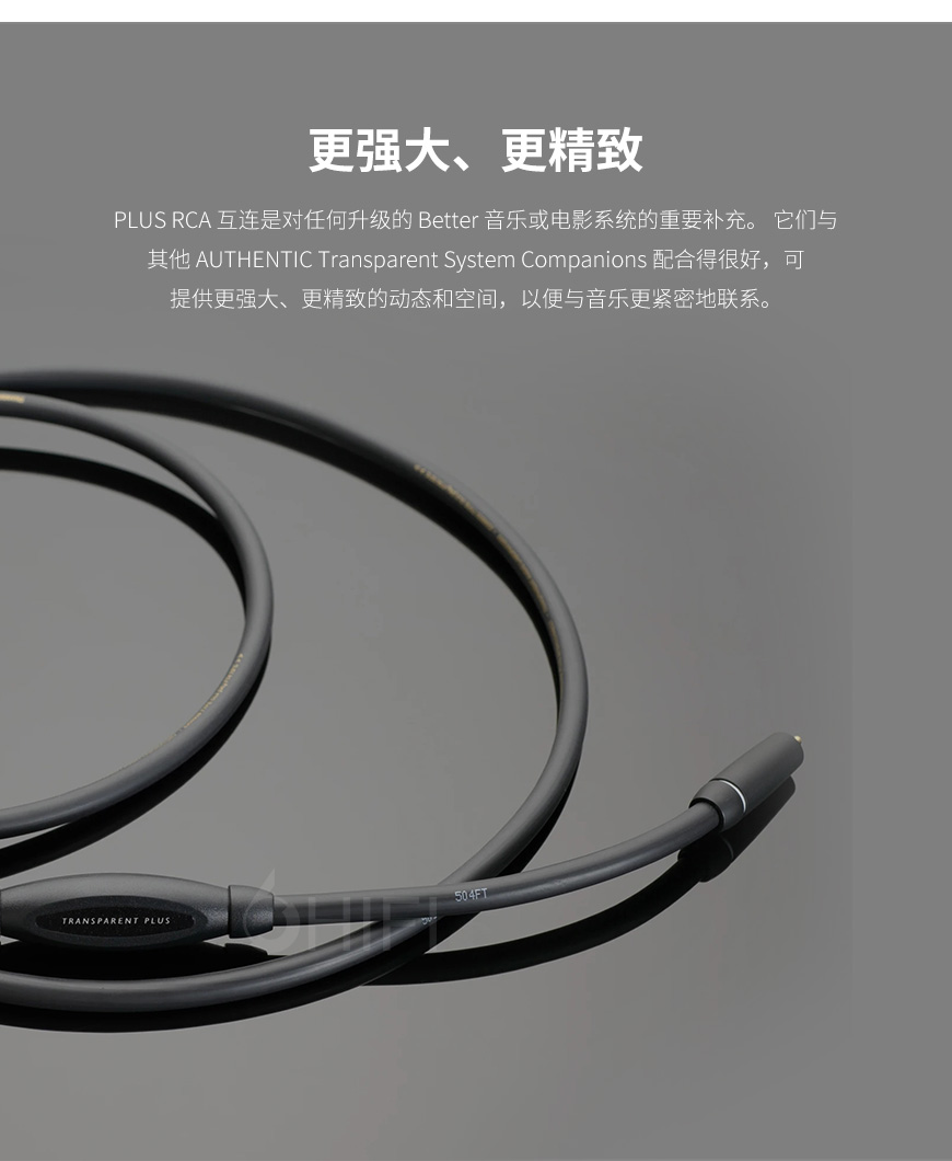 美国 Transparent 天仙配 PLUS RCA PSE G6信号线