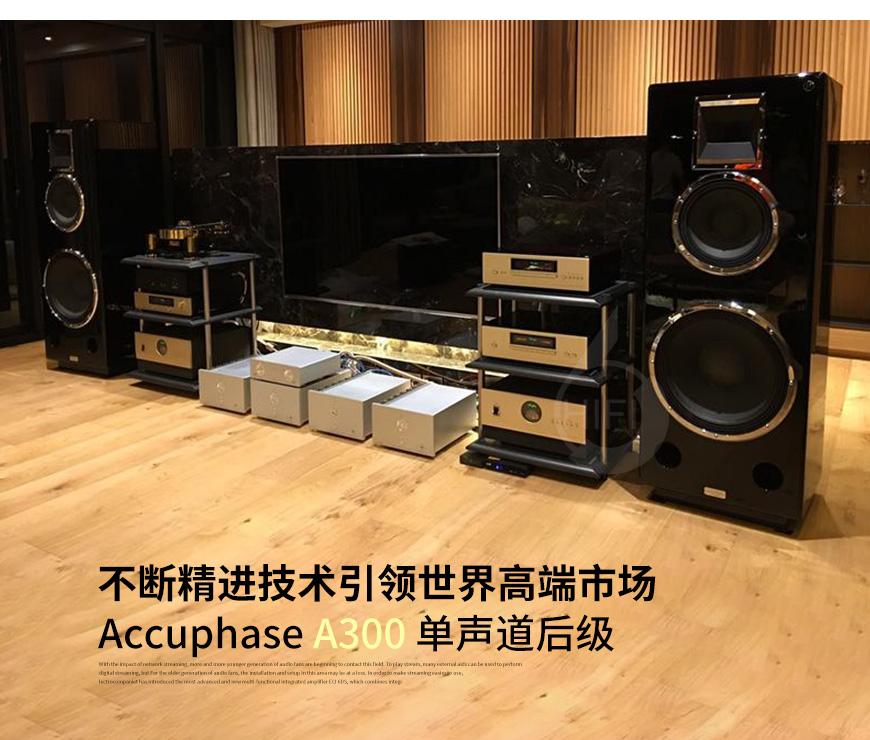 Accuphase金嗓子,Accuphase,金嗓子,A300,单声道后级,后级,功放