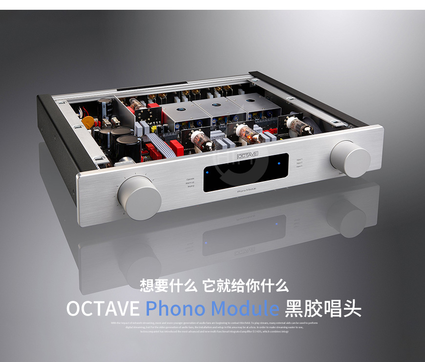 德国,OCTAVE八度,OCTAVE,八度,Phono Module,黑胶唱头,唱头