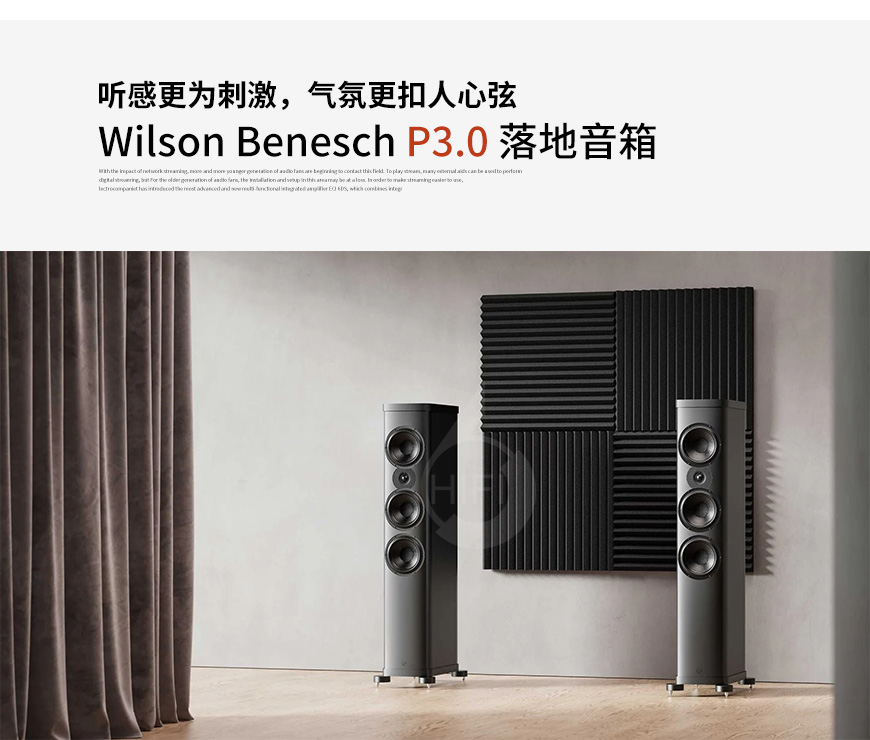 英国,Wilson Benesch金驰,Wilson Benesch,金驰,P3.0,落地音箱,落地箱 