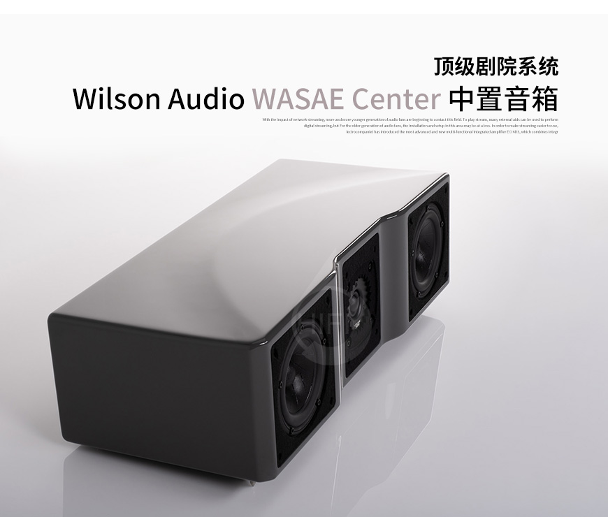  威信,Wilson Audio,WASAE Center,WASAE,Center,中置,音箱