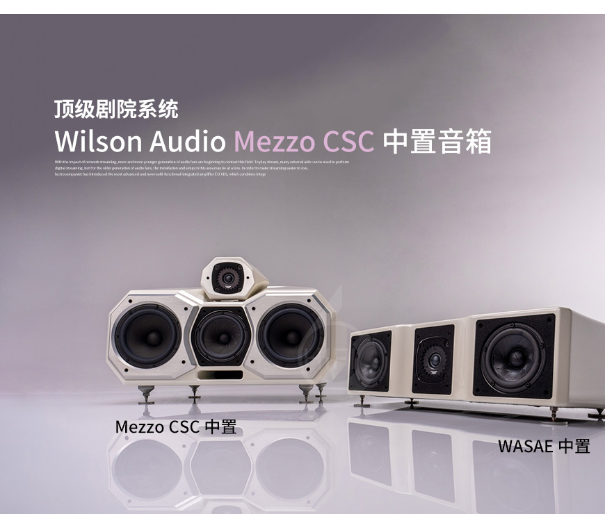 威信,Wilson Audio,Wilson,Audio,Mezzo CSC,中置,音箱