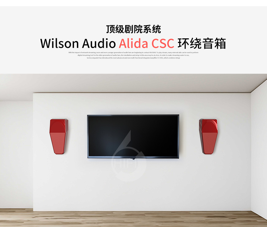 威信,Wilson Audio,Alida CSC,环绕,音箱