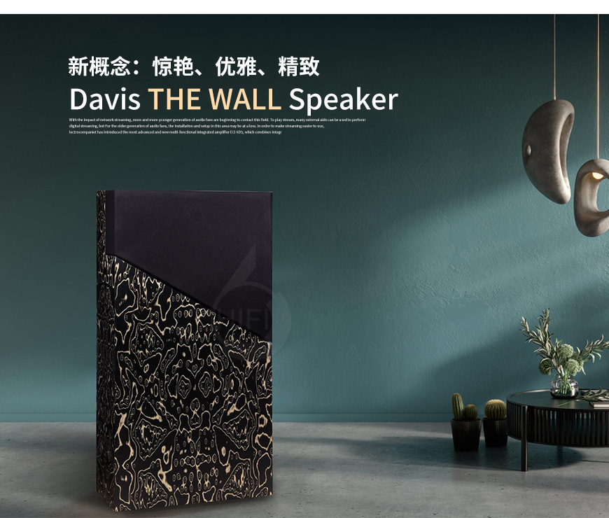 法国 Davis THE WALL 落地箱,音箱