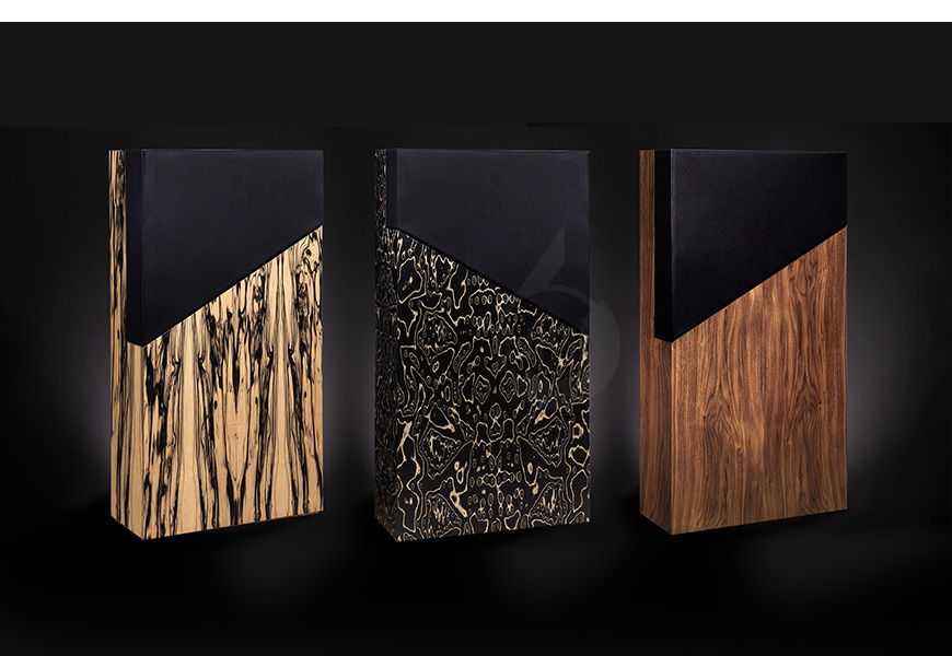 法国 Davis THE WALL 落地箱,音箱