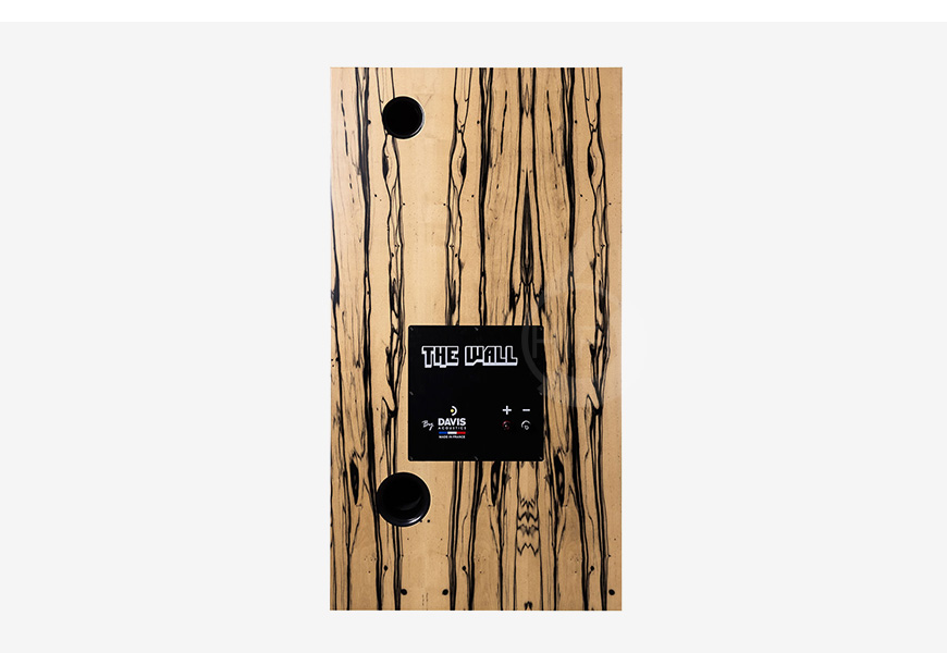 法国 Davis THE WALL 落地箱,音箱