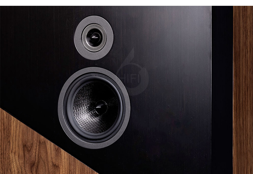 法国 Davis THE WALL 落地箱,音箱