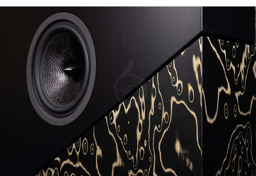 法国 Davis THE WALL 落地箱,音箱